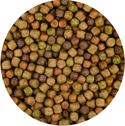 BluFeed - Premium Japan Mix - Koi - Fish Feed Pond - 6mm - 6kg