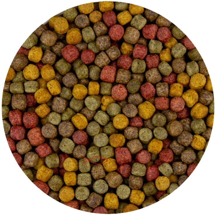 BluFeed - Fish Feed Pond - Multi Mix 6mm - 2kg