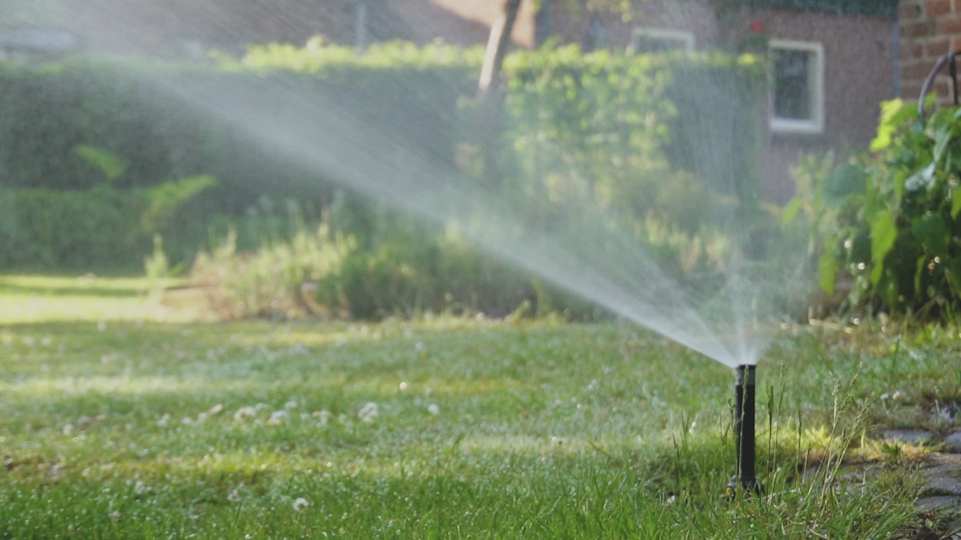 Load video: Pop up sprinkler video garden sprinklers gazon lawn